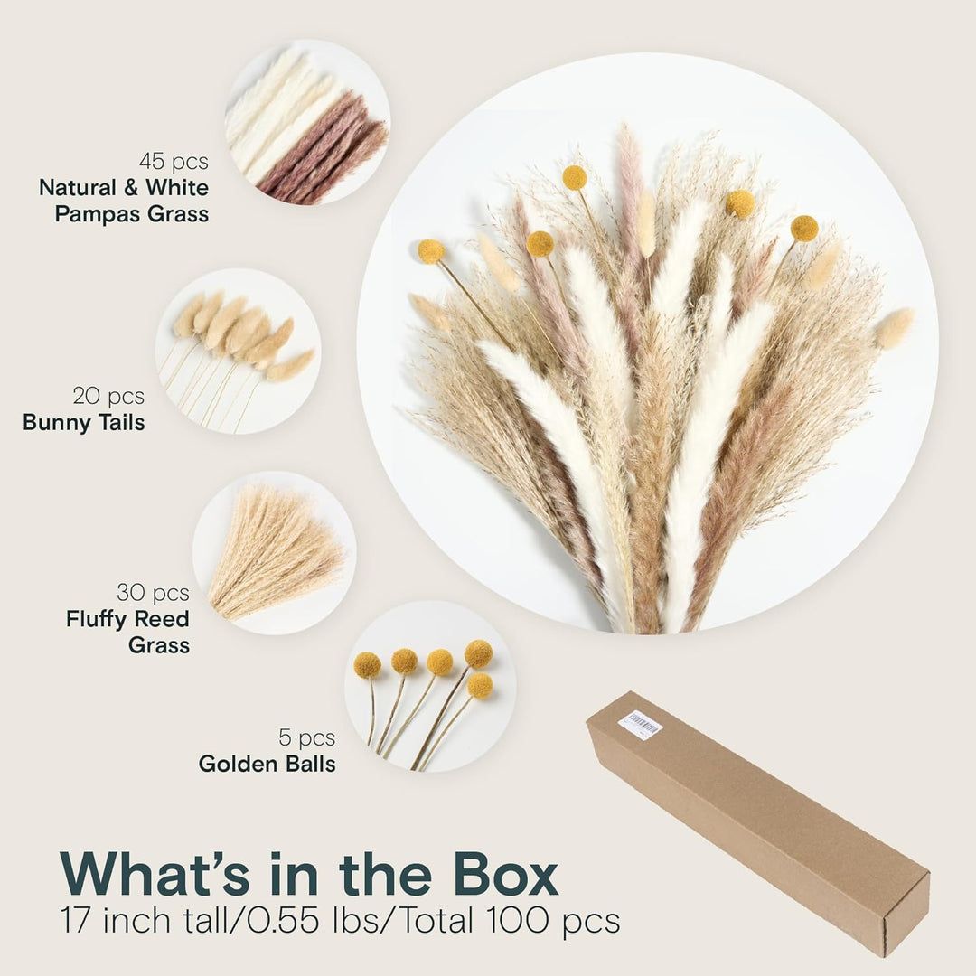 a bunch of dried flowers with text: '45 pcs Natural & White Pampas Grass 20 pcs Bunny Tails 30 pcs Fluffy Reed Grass 5 pcs Golden Balls What's in the Box 17 inch tall/0.55 lbs/Total 100 pcs'