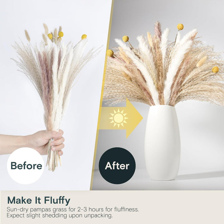 a hand holding a bunch of dried flowers with text: 'Before After Make It Fluffy Sun-dry pampas grass for 2-3 hours for fluffiness. Expect slight shedding upon unpacking.'