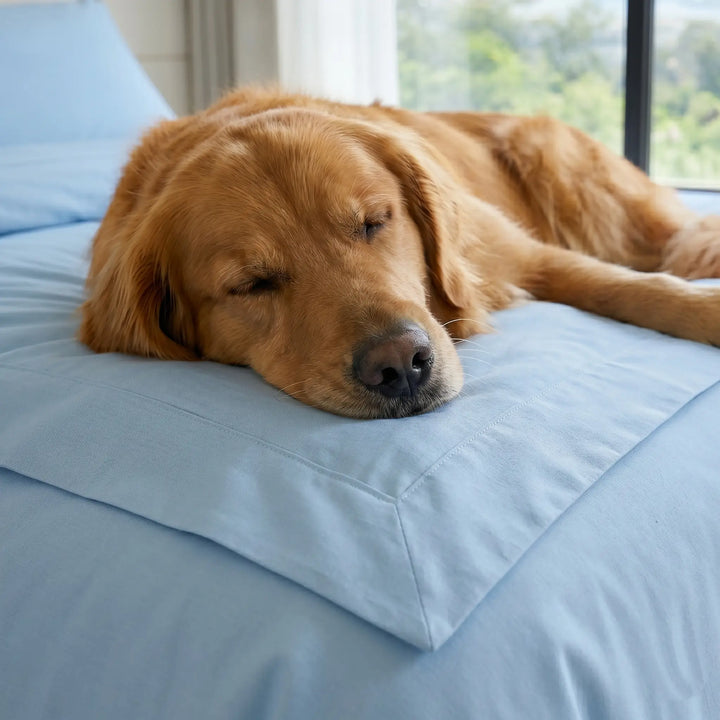 EverCool Breathable Sheet Set - Sky Blue