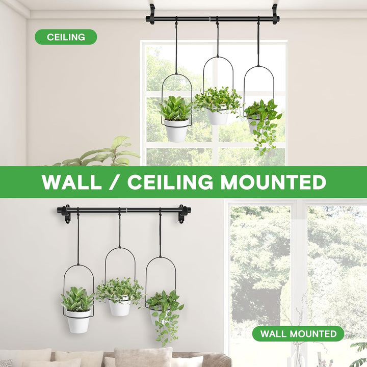 a wall mounted potted plants with text: 'CEILING WALL / CEILING MOUNTED WALL MOUNTED'