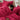 Classic Ultra Soft Sheet Set - Red