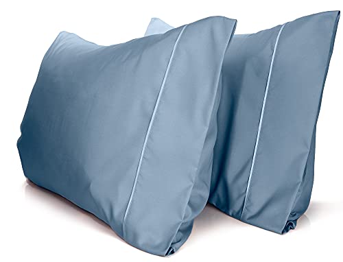 a pair of blue pillows